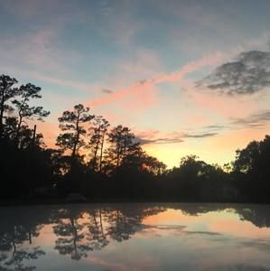 Meet your Posher, Lizzy